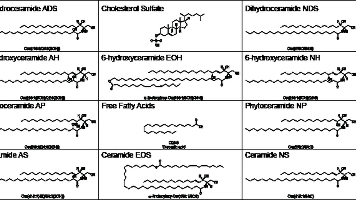 Ceramides